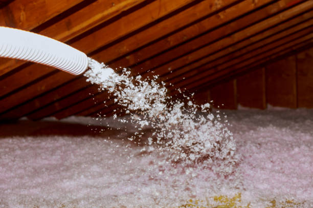 Best Blown-in Insulation  in Lake Junaluska, NC