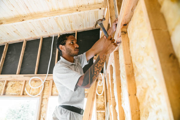 Best Attic Insulation Near Me  in Lake Junaluska, NC