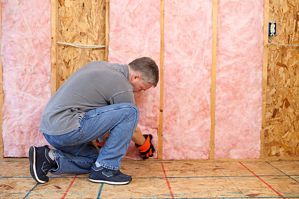 Best Attic Insulation Installation  in Lake Junaluska, NC